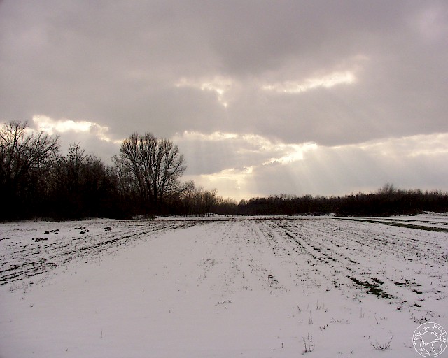 Winter plains