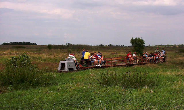 Szegvar rail 2014