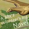 A BRCF volunteer's log