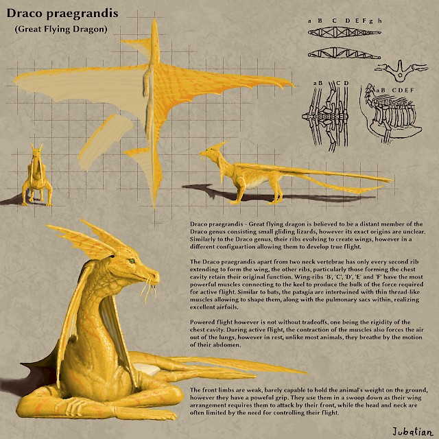 Draco praegrandis