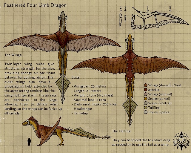 Feathered dragon refsheet