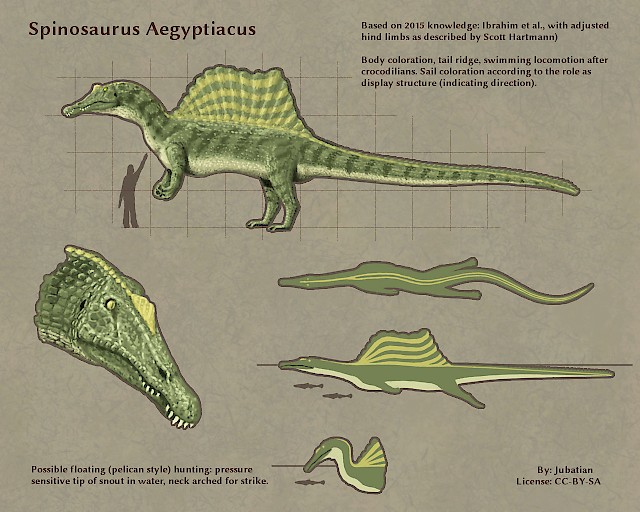 Spinosaurus Aegyptiacus 2015